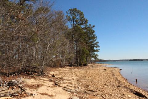 151 Canoe Pt, Equality, AL 36026 photo 15
