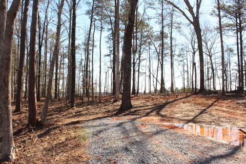 151 Canoe Pt, Equality, AL 36026 photo 12