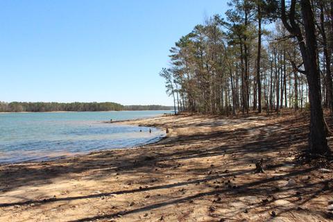 151 Canoe Pt, Equality, AL 36026 photo 13