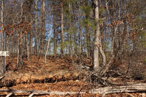 151 Canoe Pt, Equality, AL 36026 photo 14