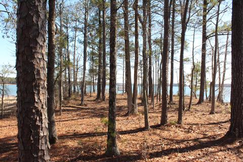 151 Canoe Pt, Equality, AL 36026 photo 2