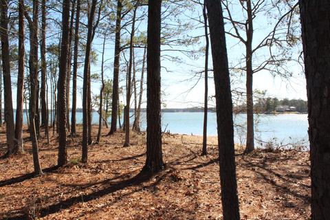 151 Canoe Pt, Equality, AL 36026 photo 3