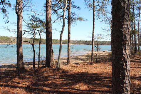 151 Canoe Pt, Equality, AL 36026 photo 4