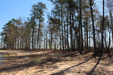 151 Canoe Pt, Equality, AL 36026 photo 18