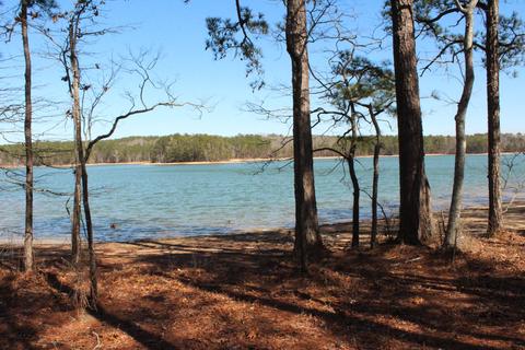 151 Canoe Pt, Equality, AL 36026 photo 5