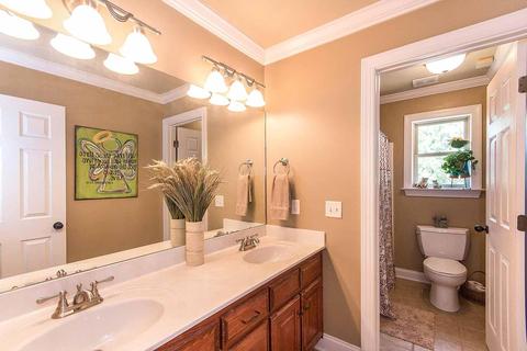 684 Long Pine Dr, Eclectic, AL 36024 photo 30