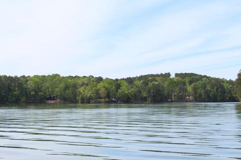 75 Canoe Pt, Equality, AL 36026 photo 2