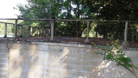 105 Honeysuckle Rd, Eclectic, AL 36024 photo 22