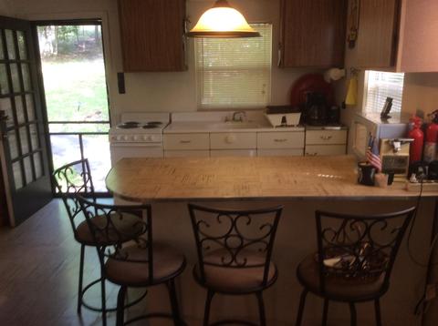 203 Pearly Dr, Eclectic, AL 36024 photo 16