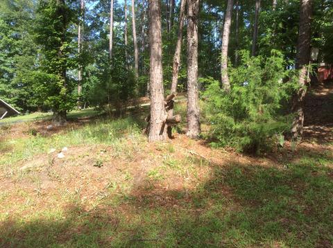 203 Pearly Dr, Eclectic, AL 36024 photo 14