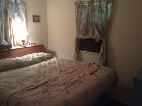 203 Pearly Dr, Eclectic, AL 36024 photo 18