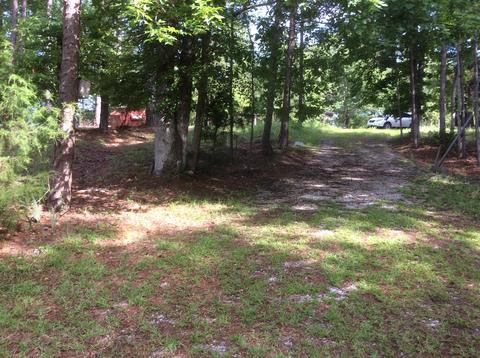 203 Pearly Dr, Eclectic, AL 36024 photo 13