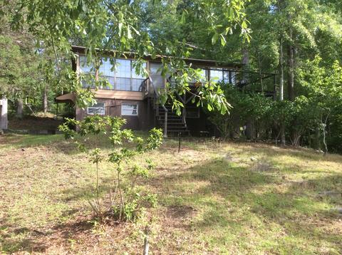 203 Pearly Dr, Eclectic, AL 36024 photo 6