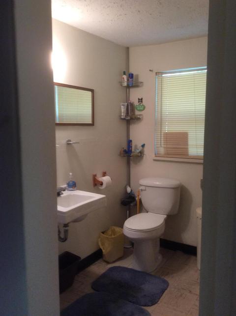 203 Pearly Dr, Eclectic, AL 36024 photo 23