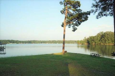 706 Mccain Rd, Eclectic, AL 36024 photo 21