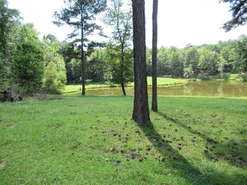 783 E Cotton Rd, Eclectic, AL 36024 photo 45