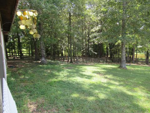 783 E Cotton Rd, Eclectic, AL 36024 photo 6