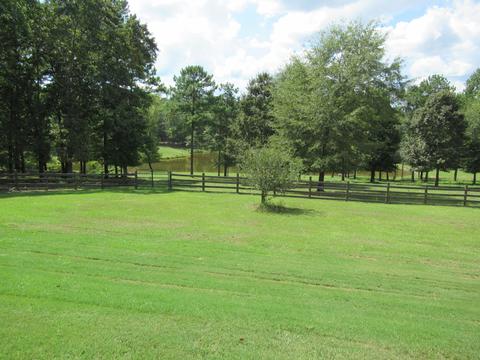 783 E Cotton Rd, Eclectic, AL 36024 photo 4