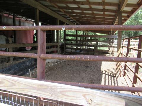 783 E Cotton Rd, Eclectic, AL 36024 photo 31