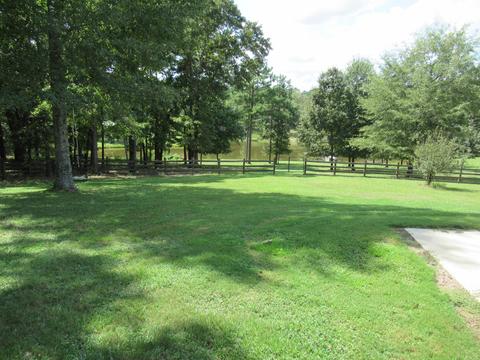 783 E Cotton Rd, Eclectic, AL 36024 photo 3