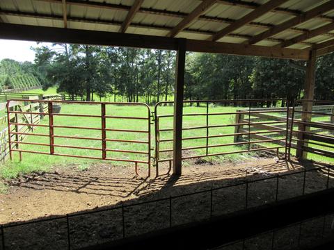 783 E Cotton Rd, Eclectic, AL 36024 photo 44