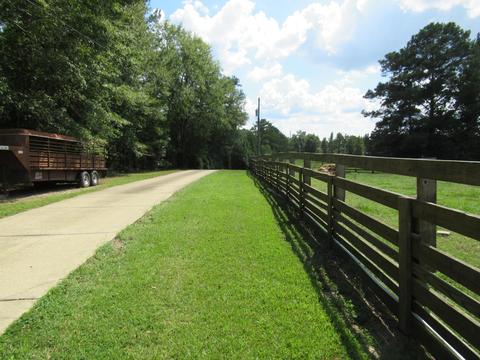 783 E Cotton Rd, Eclectic, AL 36024 photo 43