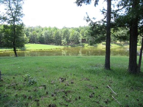 783 E Cotton Rd, Eclectic, AL 36024 photo 46