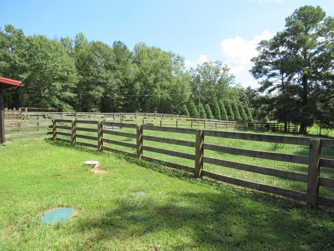 783 E Cotton Rd, Eclectic, AL 36024 photo 5