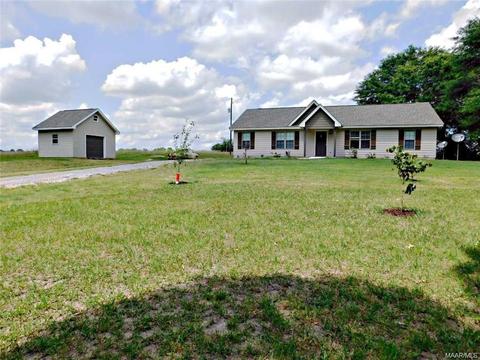 6080 Weldon Road Rd, Eclectic, AL 36024 photo 5