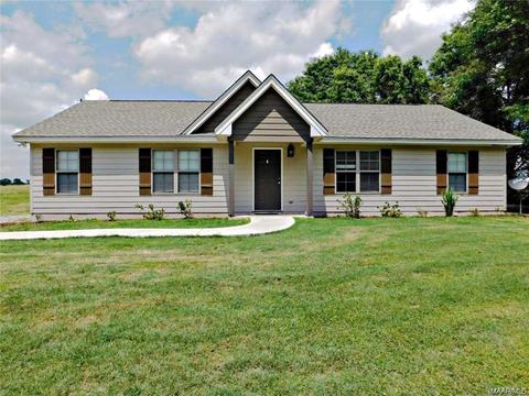 6080 Weldon Road Rd, Eclectic, AL 36024 photo 1
