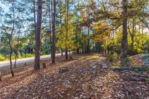 3587 Cotton Road Rd, Eclectic, AL 36024 photo 28