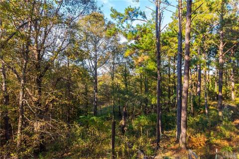 3587 Cotton Road Rd, Eclectic, AL 36024 photo 29