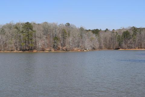 198 Thomas Loop, Jacksons Gap, AL 36861 photo 8