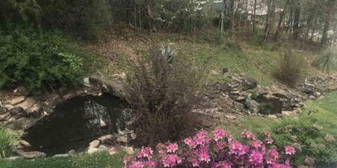 140 Pine Haven Rd, Eclectic, AL 36024 photo 25