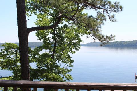 16014 Paces Point Rd, Dadeville, AL 36853 photo 11