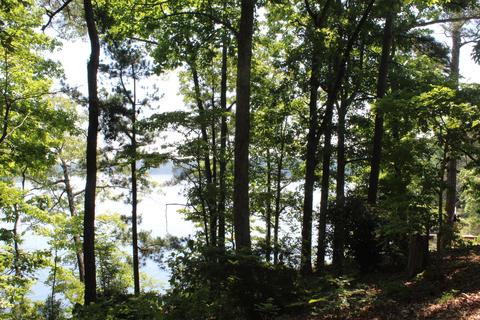 16014 Paces Point Rd, Dadeville, AL 36853 photo 6