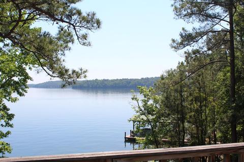 16014 Paces Point Rd, Dadeville, AL 36853 photo 12