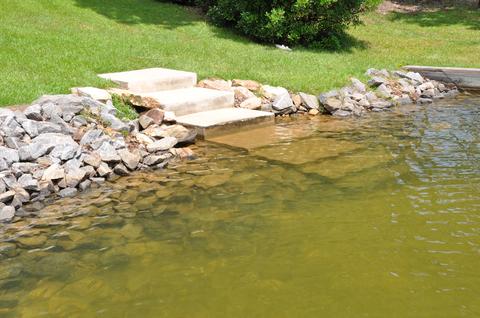 446 Locklear Dr, Jacksons Gap, AL 36861 photo 9