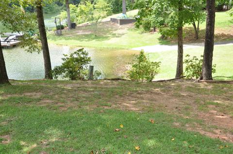 446 Locklear Dr, Jacksons Gap, AL 36861 photo 17