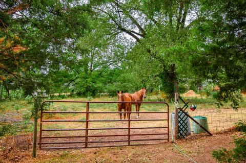 6210 County Road 222, Five Points, AL 36855 photo 35