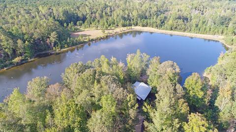 1589 Cotton Rd, Eclectic, AL 36024 photo 1