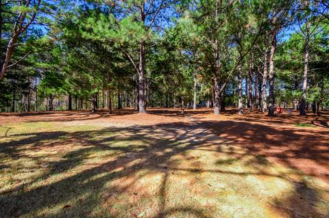 301 Keystone Dr, Clanton, AL 35045 photo 19