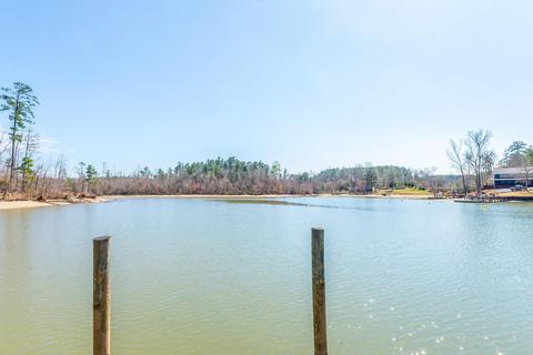 694 Long Pine Dr, Eclectic, AL 36024 photo 7