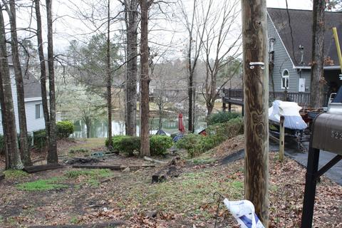 518 Ridgeway, Eclectic, AL 36024 photo 23