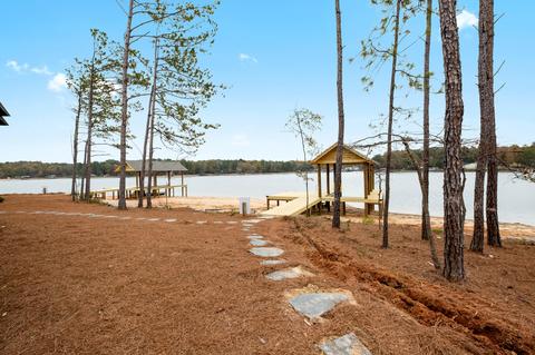 88 Scouts Pt, Eclectic, AL 36024 photo 3