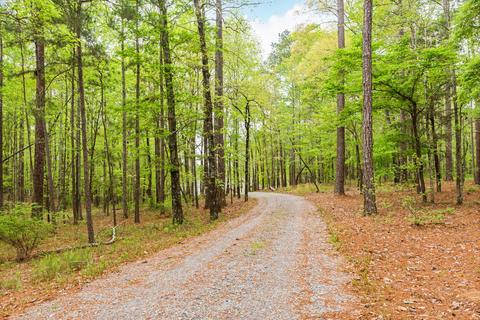635 Wake Robin, Eclectic, AL 36024 photo 3