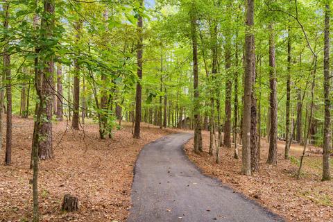 570 Wake Robin, Eclectic, AL 36024 photo 53