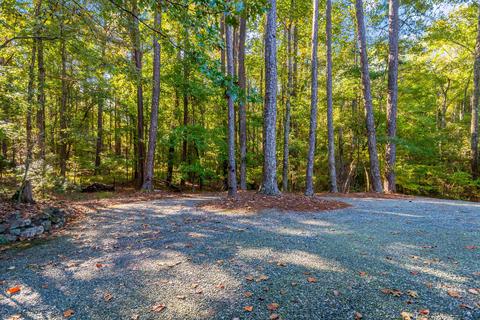 101 Trailing W, Eclectic, AL 36024 photo 57