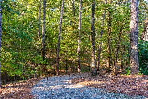 101 Trailing W, Eclectic, AL 36024 photo 59