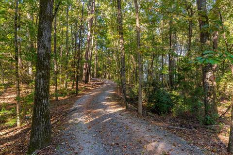 101 Trailing W, Eclectic, AL 36024 photo 58